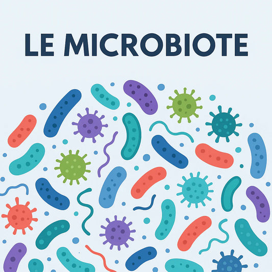 Documentaire: “Microbiote: les fabuleux pouvoirs du ventre”