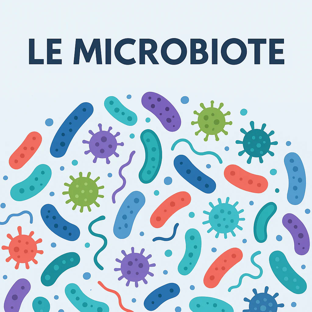 Documentaire: “Microbiote: les fabuleux pouvoirs du ventre”
