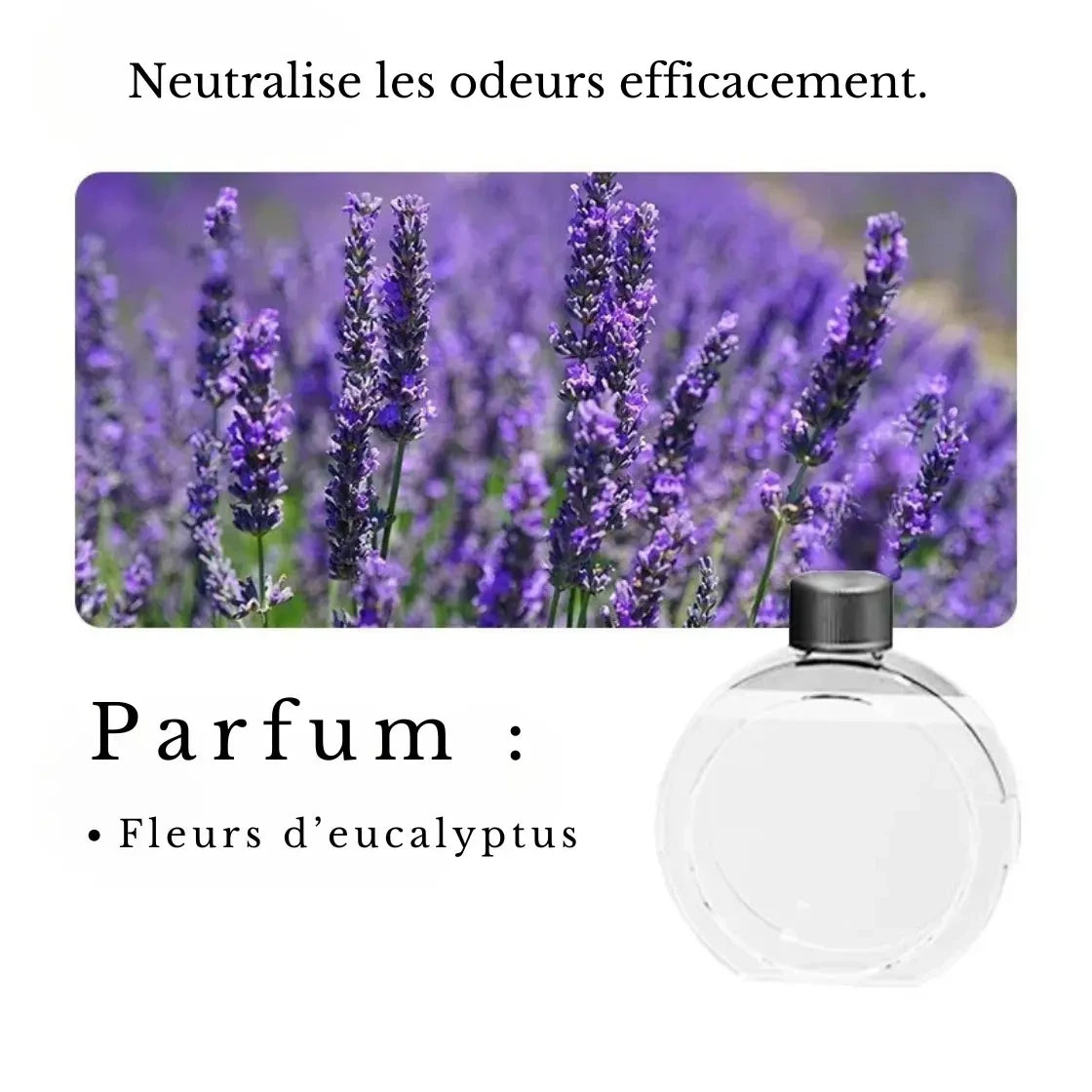 Parfum-Ambiance-fleurs d'ecucalyptus-Rester-En-Sante