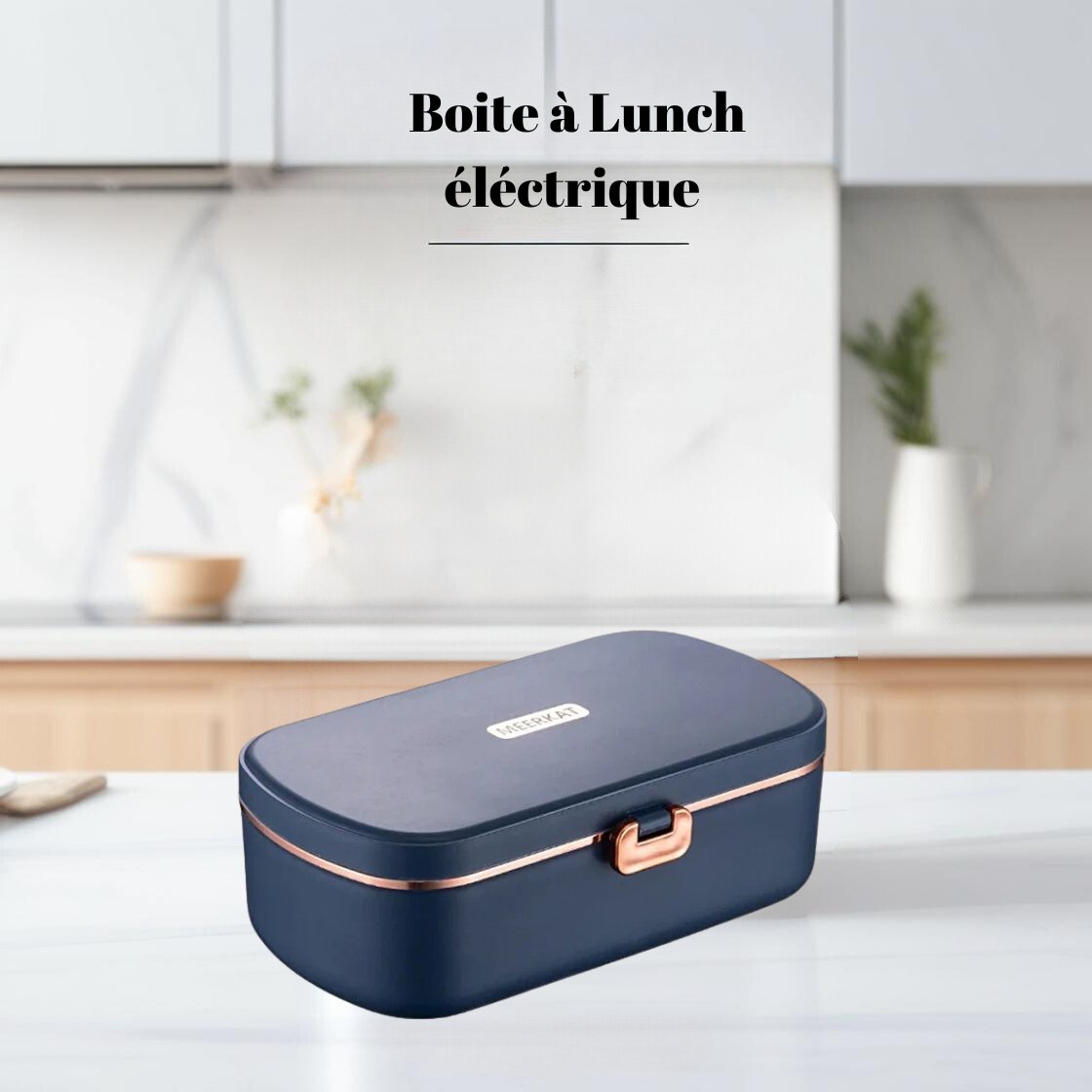 Boîte à Lunch Électrique en Acier Inoxydable - Rester En Santé